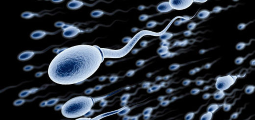 Sperma